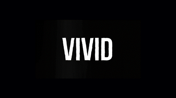 Announcing VIVID - A new global engagement consultancy