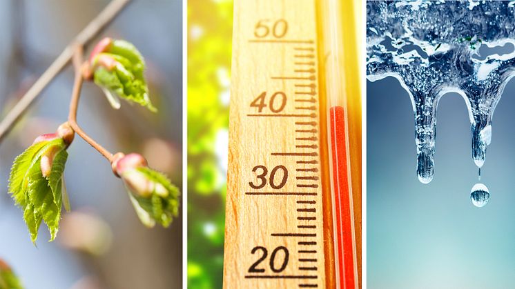 7 av 10 nordmenn har erfart klimaendringer i egen kommune. Endrede årstider, høyere temperatur og mindre snø er det flest har lagt merke til. 