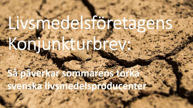 Sommarens torka leder till kraftigt ökade kostnader för svenska livsmedelsproducenter