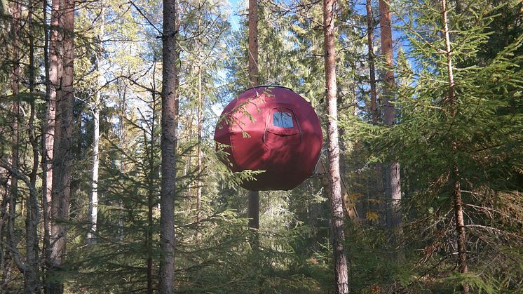 Övernatta bland trädtopparna i skogskojan "Supermåne" hos Näsets Marcusgård i Furudal, Dalarna.