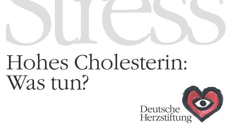 Cover des Cholesterin-Ratgebers. Herz unter Stress - Hohes Cholesterin: Was tun? Bild: DHS/Jan Neuffer