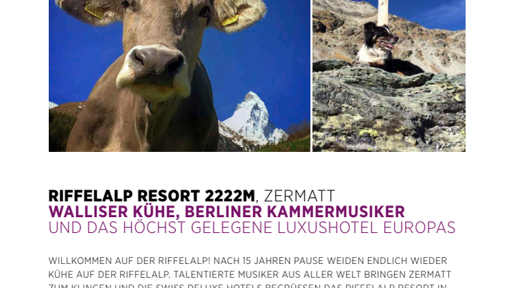 Walliser Kühe, Berliner Kammermusiker  und das höchst gelegene Luxushotel Europas