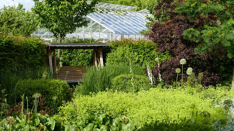 Alnarps rehabiliteringsträdgård är som vackrast i försommarflor. Foto: Marianne Persson, SLU