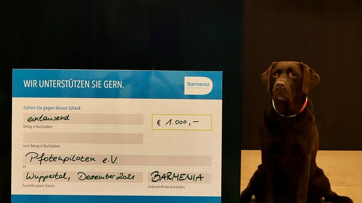 Assistenzhund Hanni zu Besuch bei der Scheckübergabe für Pfotenhilfe e.V. bei der Barmenia in Wuppertal