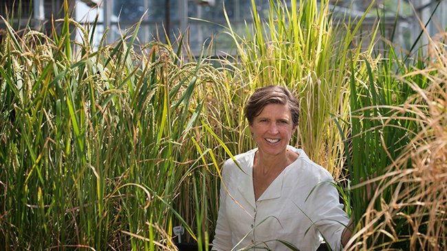 Professor Pamela Ronald, en av SLU:s nya hedersdoktorer. Foto: Deanne Fitzmaurice 