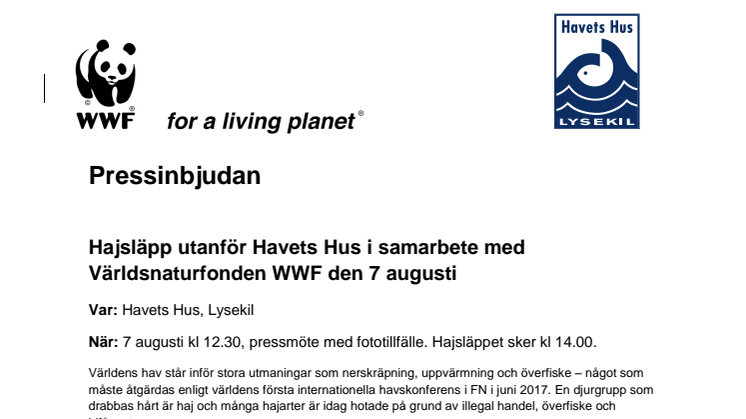 Pressinbjudan - Hajsläpp utanför Havets Hus i samarbete med Världsnaturfonden WWF den 7 augusti