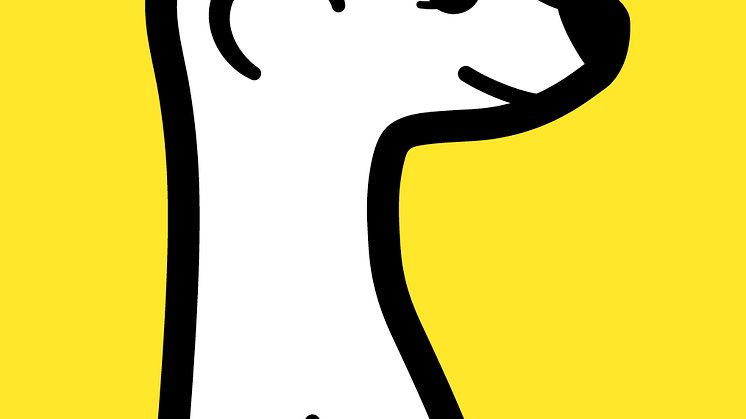 ​Meerkat: The Lowdown