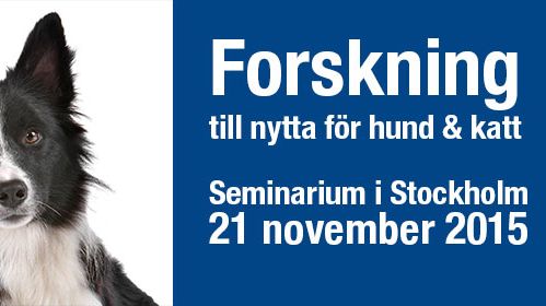 Forskning till nytta för hund & katt