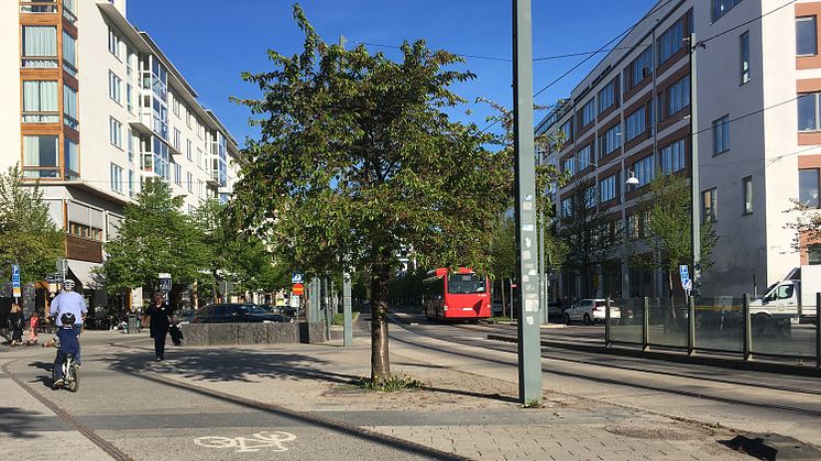 Hammarby sjöstad Stockholm