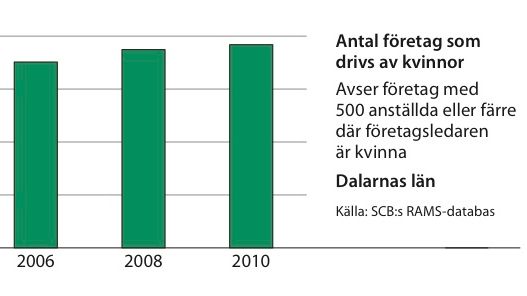 Kvinnors företagande ökar i Dalarnas län