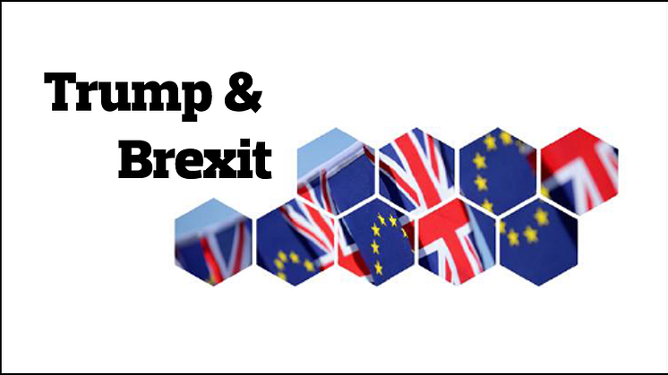 2016 endte med positive afkast trods Trump og Brexit