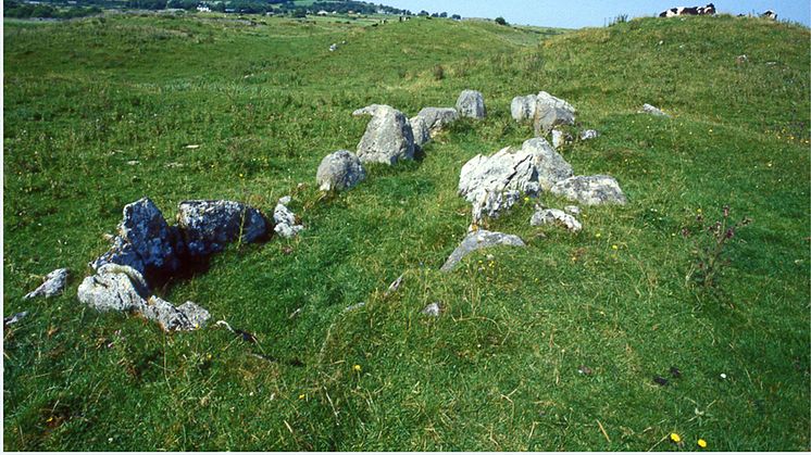 Primrose, Ireland, before excavation