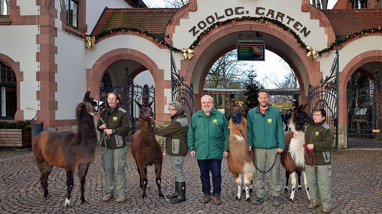 Der Zoo startet ins Jubiläumsjahr 2018