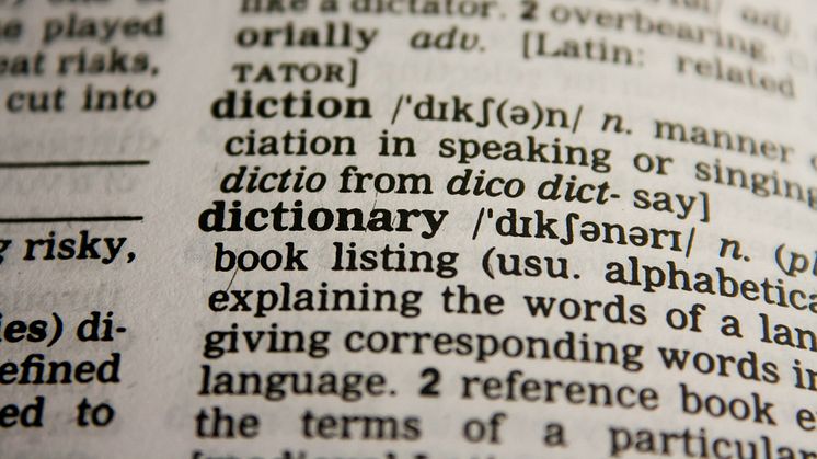 EXPERT COMMENT: Giving back to English: how Nigerian words made it into the Oxford English Dictionary