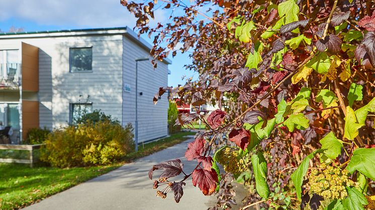 När det var dags för Stommes samfällighetsförening i Landvetter att se över och förnya sin värmelösning föll valet på att fortsätta med fjärrvärmen från Solör Bioenergi. Fotograf Anna Hult