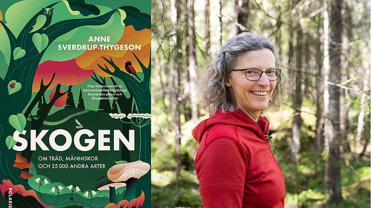 Storsäljande Anne Sverdrup-Thygeson är i höst aktuell med kritikerrosade boken Skogen, som har översatts till svenska. 