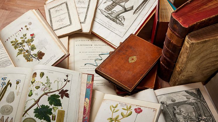 Delar av Olle Wallins botaniska litteratursamling.