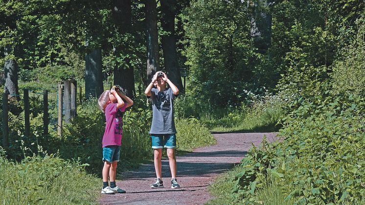 ​Vi inviger Helsingborgs artonde naturreservat i Pålsjö skog på lördag