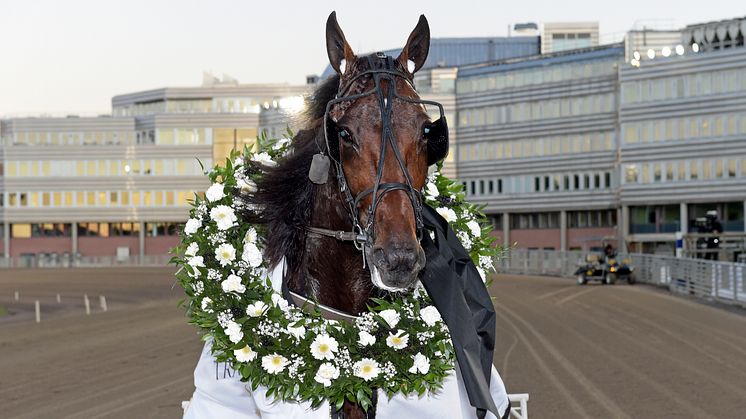 Francesco Zet segrade i Svenskt Trav-Kriterium 2021. Foto: TR Bild