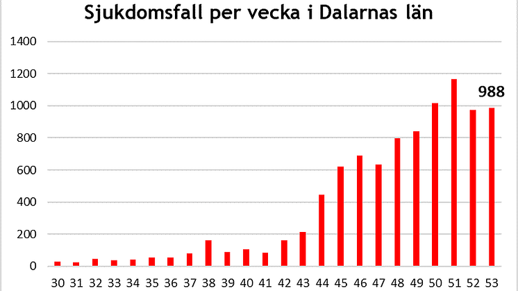Länsstyrelsen informerar om läget i Dalarnas län 8 januari 2021
