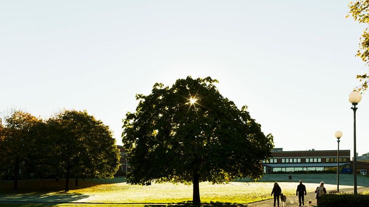 Campus Näckrosen, Göteborgs universitet