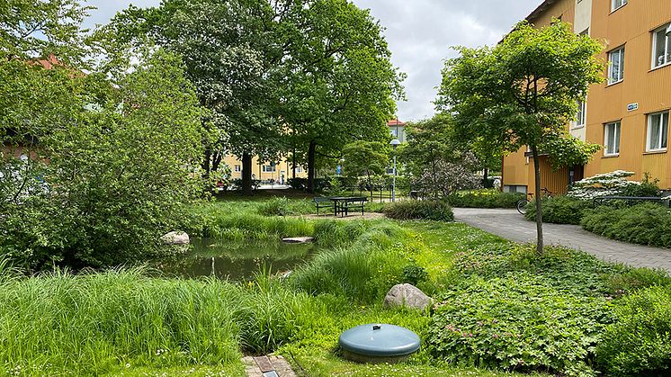 Exempel på klimatanpassning med blågröna lösningar i Augustenborg, Malmö. Regnvatten leds genom diken, kanaler och dammar för att minska risken för översvämningar. Foto: Johan Holmqvist/IVL