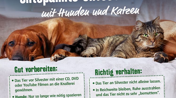 7 Tipps für eine entspannte Sylvesternacht