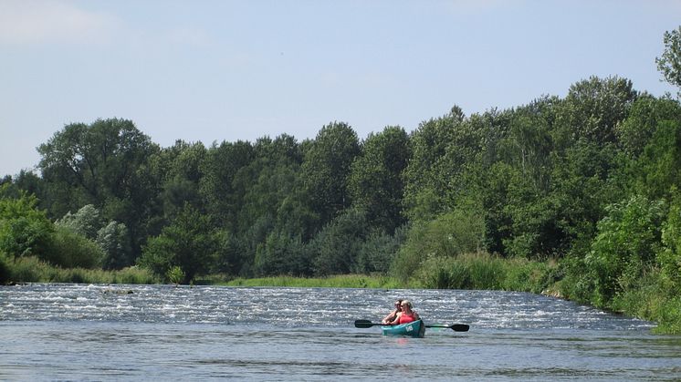 Sohlschwellen im mittleren Abschnitt der 27 Kilometer langen Route sorgen für ein spritziges Paddel-Erlebnis. Foto: www.spreewald.de