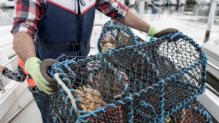 1000-tals fritidsfiskare förbereder sig under helgen inför måndagens premiär.