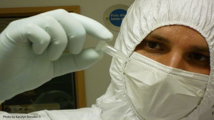 Linus Girdland-Flink arbetar i laboratoriet. Personalen använder ansiktsmask, dubbla lager laboratoriehandskar och överdragskläder för att minska risken att introducera kontaminerande DNA till det som analyseras. Foto: Karolyn Shindler