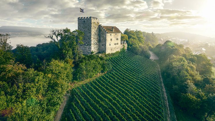 Schloss Habsburg, Region Aargau © Aargau Tourismus/ Michel Jaussi