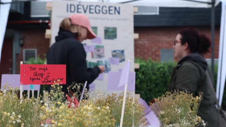 Veien videre for Tokerudparken 