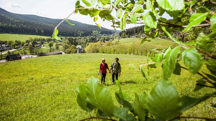 Kammweg Rittersgrün_Foto TVE_Rene Gaens.jpg