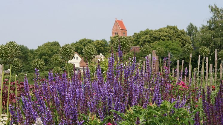 Bald öffnen die Gärten im ganzen Land wie beispielsweise hier in der Uckermark (Foto: Rosenschule Uckermark)