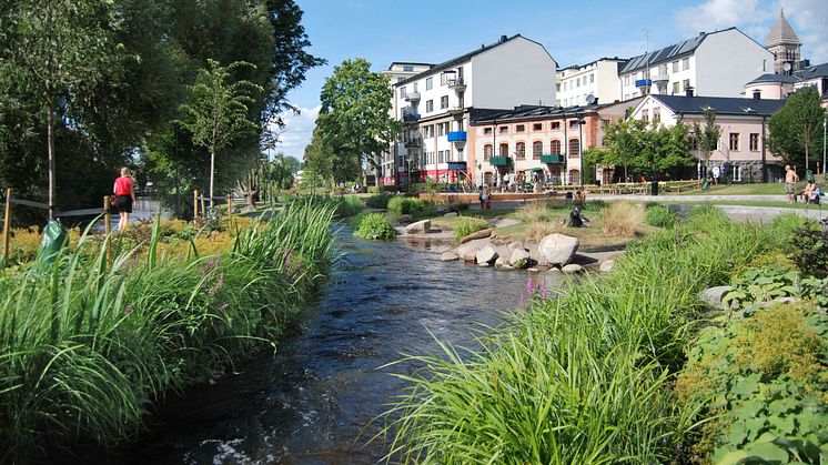 Naturanpassade erosionsskydd med vattenrenande effekt.  Strömparken i Norrköping. Foto:Veg Tech