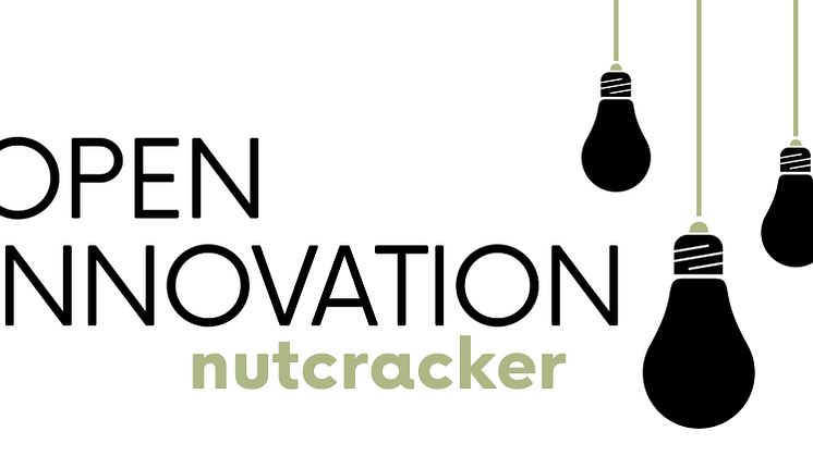 OPEN INNOVATION - nutcracker