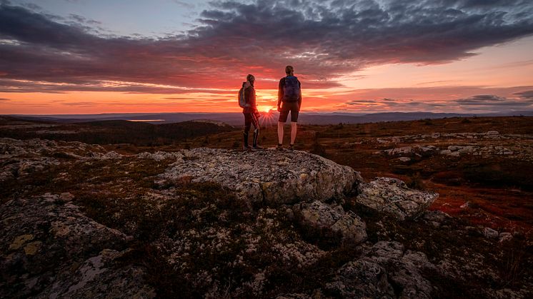 210905_OM_trysil_vandring.jpg