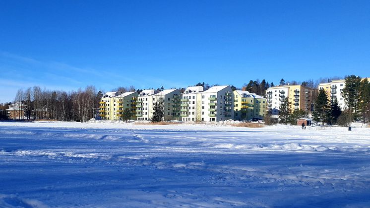 Ökad optimism hos köpare och mäklare kring bostadspriser