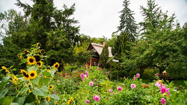 Das Haus der Naturpflege in Bad Freienwalde würdigt die Arbeit der Schöpfer des Symbols für Naturschutzgebiete. Foto: TMB-Fotoarchiv/Steffen Lehmann.  