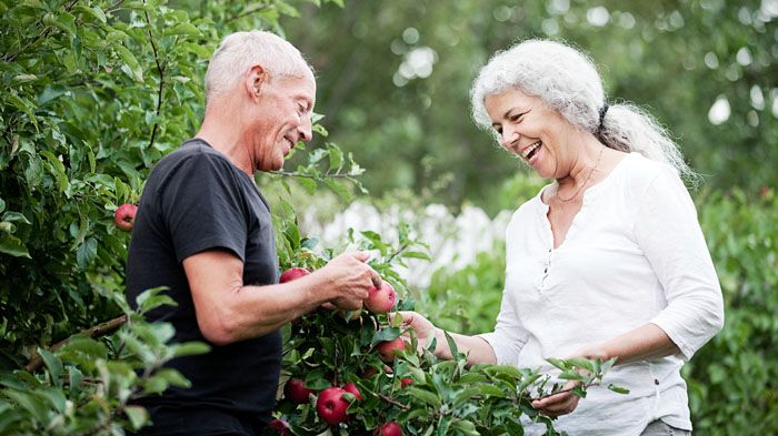 Fra arbejdsliv til pensionsliv: Tre medlemmers erfaringer