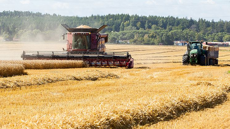 Tunga jordbruksmaskiner innebär en risk för skadlig markpackning under matjorden, i den s.k. alven. Foto: Jenny Svennås-Gillner