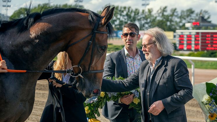 Benny Andersson har skördat stora framgångar med Ayani i år. På söndag möter treåringen den äldre eliten i Stockholm Cup International (Gr 3).