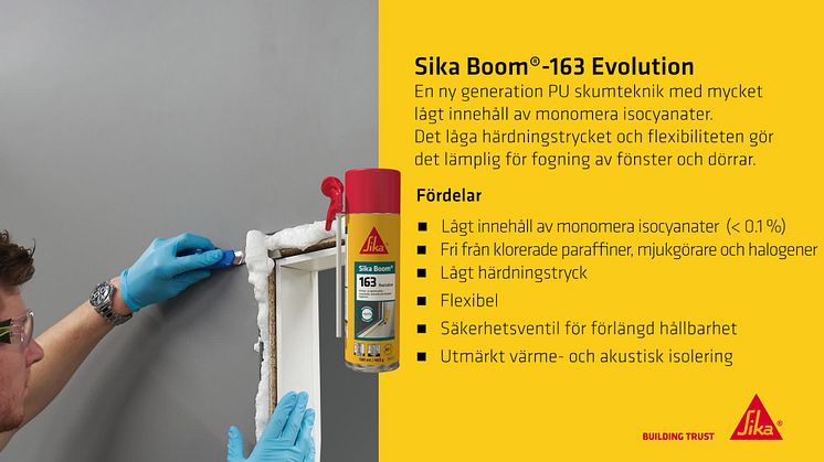 Sika Boom-163 Evolution