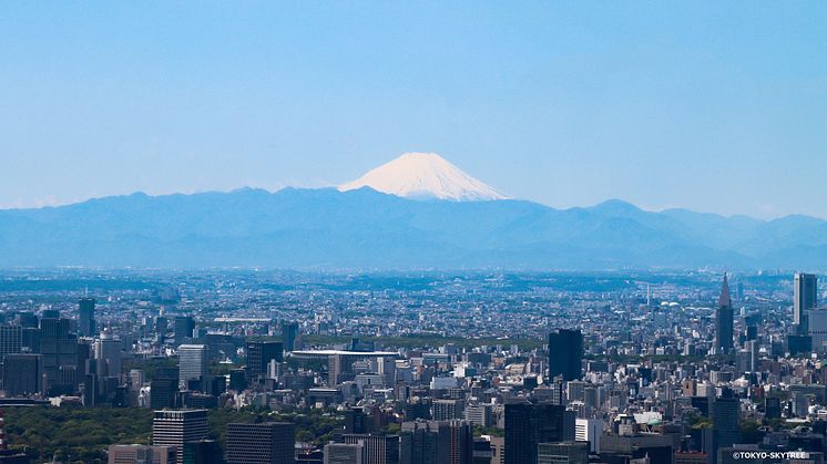 TOKYO SKYTREE Observation Deck