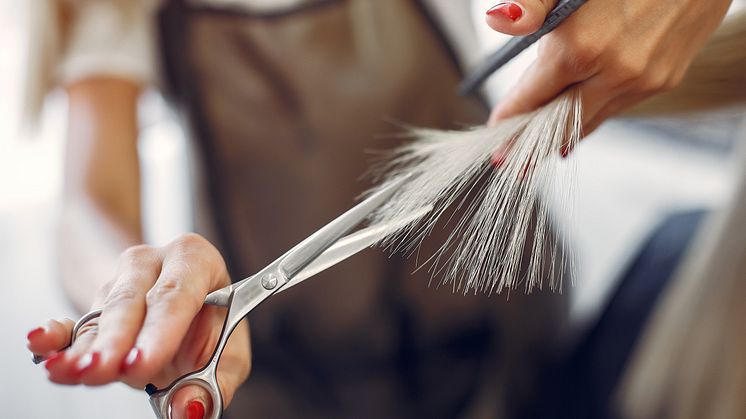 The Amazing Story of Yamamoto-Scissors: A Behind-the-Scenes Look at the World's Finest Scissors