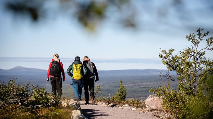 Vandring sommar Lofsdalen