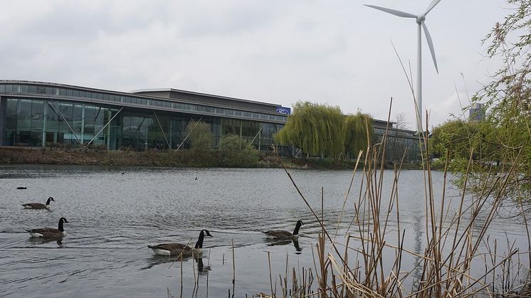 50 olika fågelarter stortrivs vid Fords motorfabrik i Dagenham.