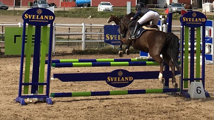 I helgen gör ponnyryttare i zon öst upp om segern i regionfinalen i Sveland cup, denna gång i Växjö. 