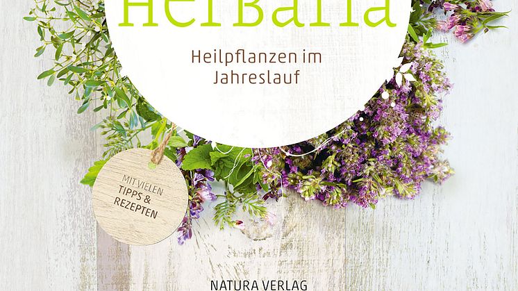 Von der Stiftung Buchkunst 2015 prämierter Titel ‹Ars Herbaria› aus dem Verlag am Goetheanum