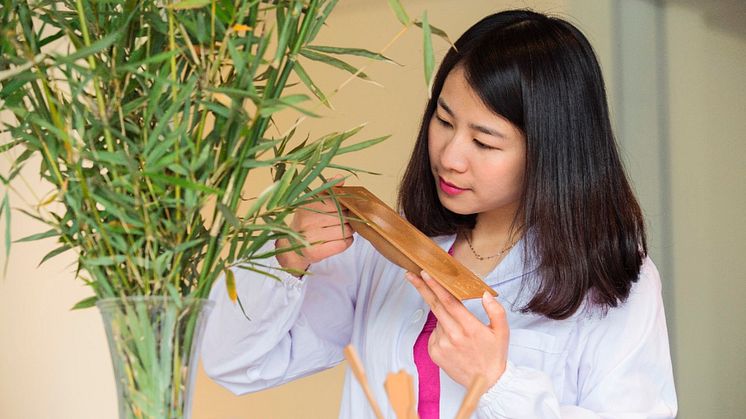 Janet Yin, vedoucí materiálového inženýrství výzkumného a konstrukčního střediska Fordu v čínském Nankingu